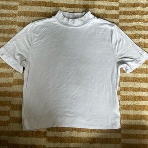 Aritzia Baby Blue Turtle Tee